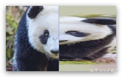 AI视觉识别图像拉伸数据增强示例
